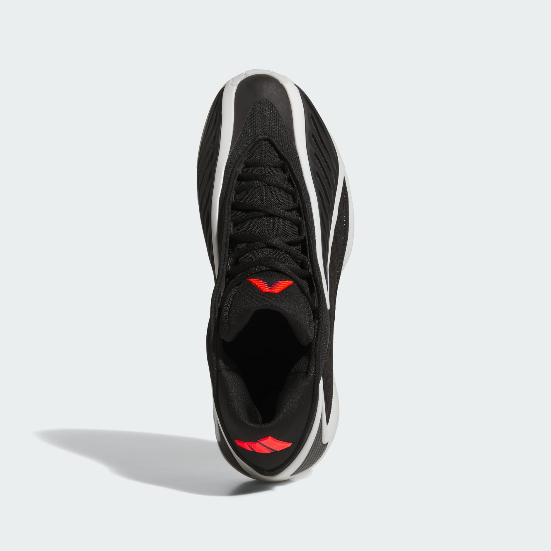 Anthony Edwards 2