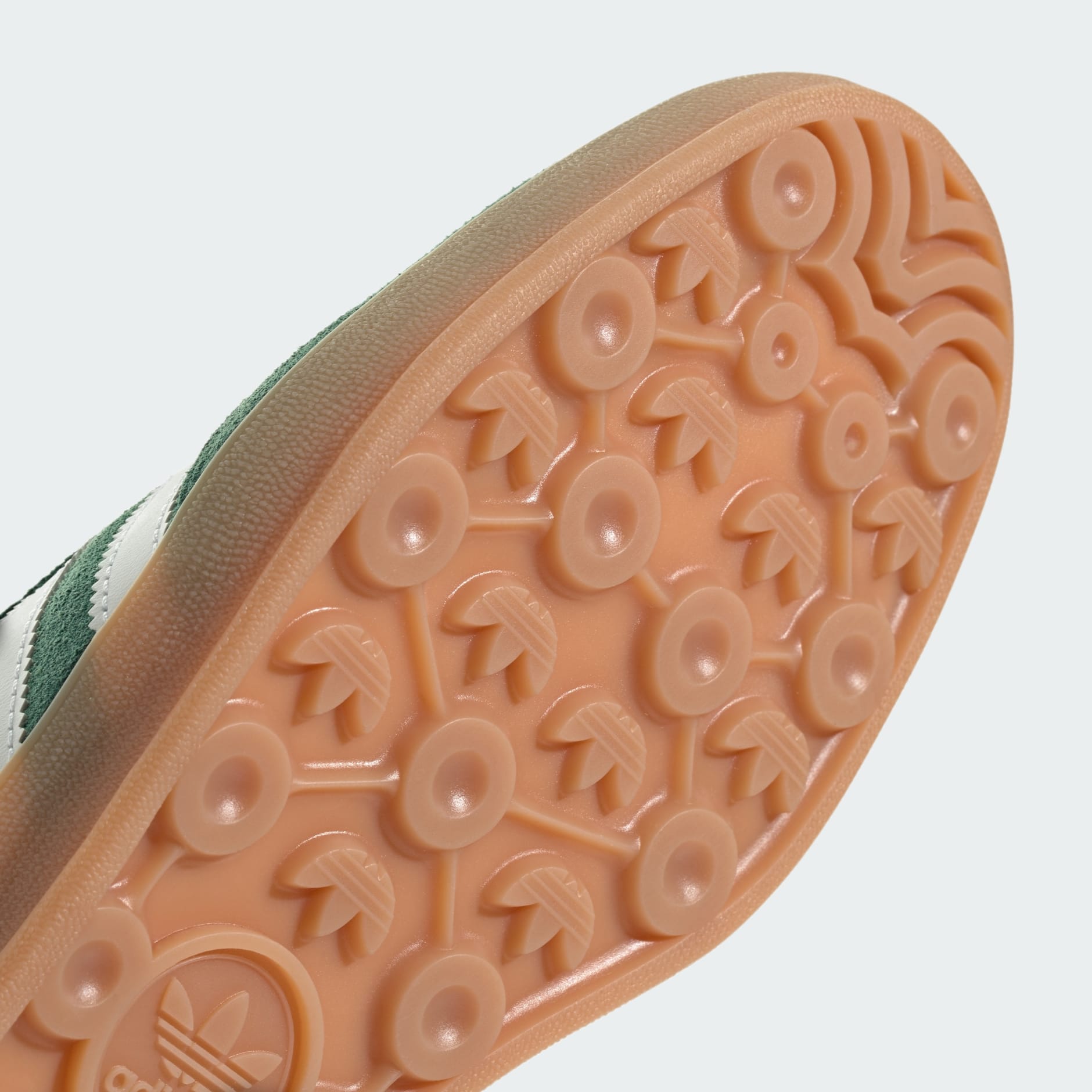 Gazelle Indoor
