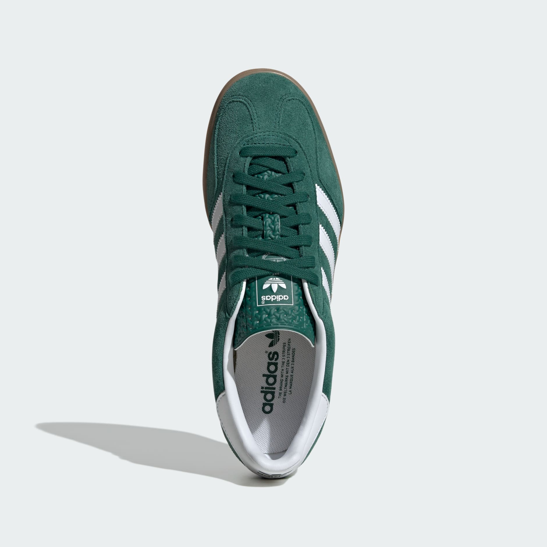 Gazelle Indoor